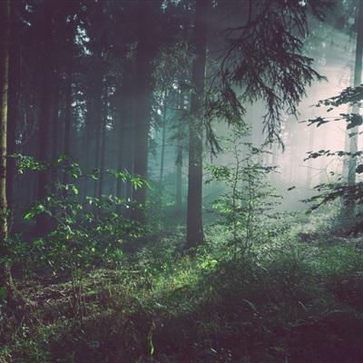 半岛综合娱乐app下载手机版